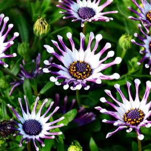 入荷情報20260312