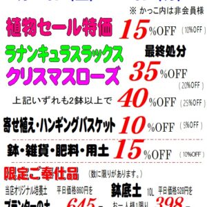 セール情報＆入荷情報