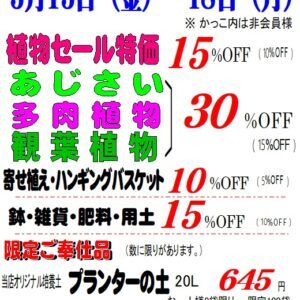 会員様優待セール＆入荷情報