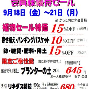 会員様優待セールと入荷情報